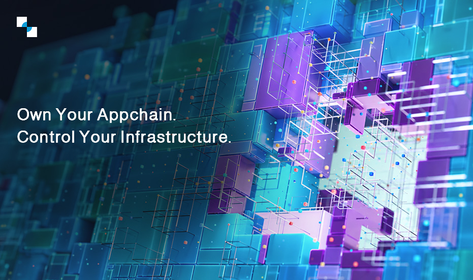 When Should a Business Build an Appchain? 2026 Decision Framework