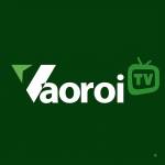 Vaoroi TV Trực Tiếp Bóng Đá Profile Picture