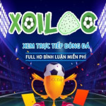 Xoilac Tivi Profile Picture
