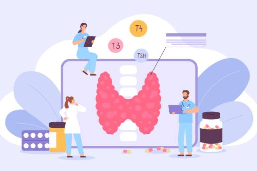 Why So Many Women Are Turning to Hormone Therapy (And What Nobody Tells You About Thyroid Health) - Premium Blogging Platform
