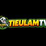 tieulamtv work Profile Picture