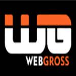 Webgross Solutions Profile Picture
