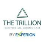 The Trillion Profile Picture