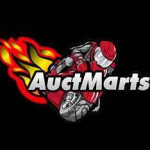 Auctmarts Fairing Profile Picture