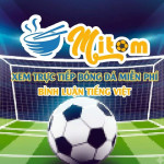 MitomTV TrựcTiếpBóngĐá Profile Picture