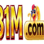 31m com Profile Picture