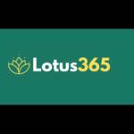 Lotus365 offiicial Profile Picture