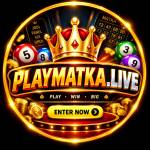 playmatka live Profile Picture