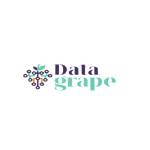 Data grape Profile Picture