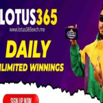 Lotus 365 exch Profile Picture