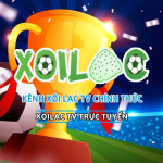 ttbdxoilac xbmtv Profile Picture