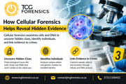 How Cellular Forensics Helps Reveal Hidden Evidence — Postimages