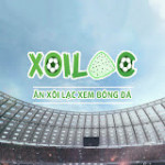 coidabong xoilacz Profile Picture